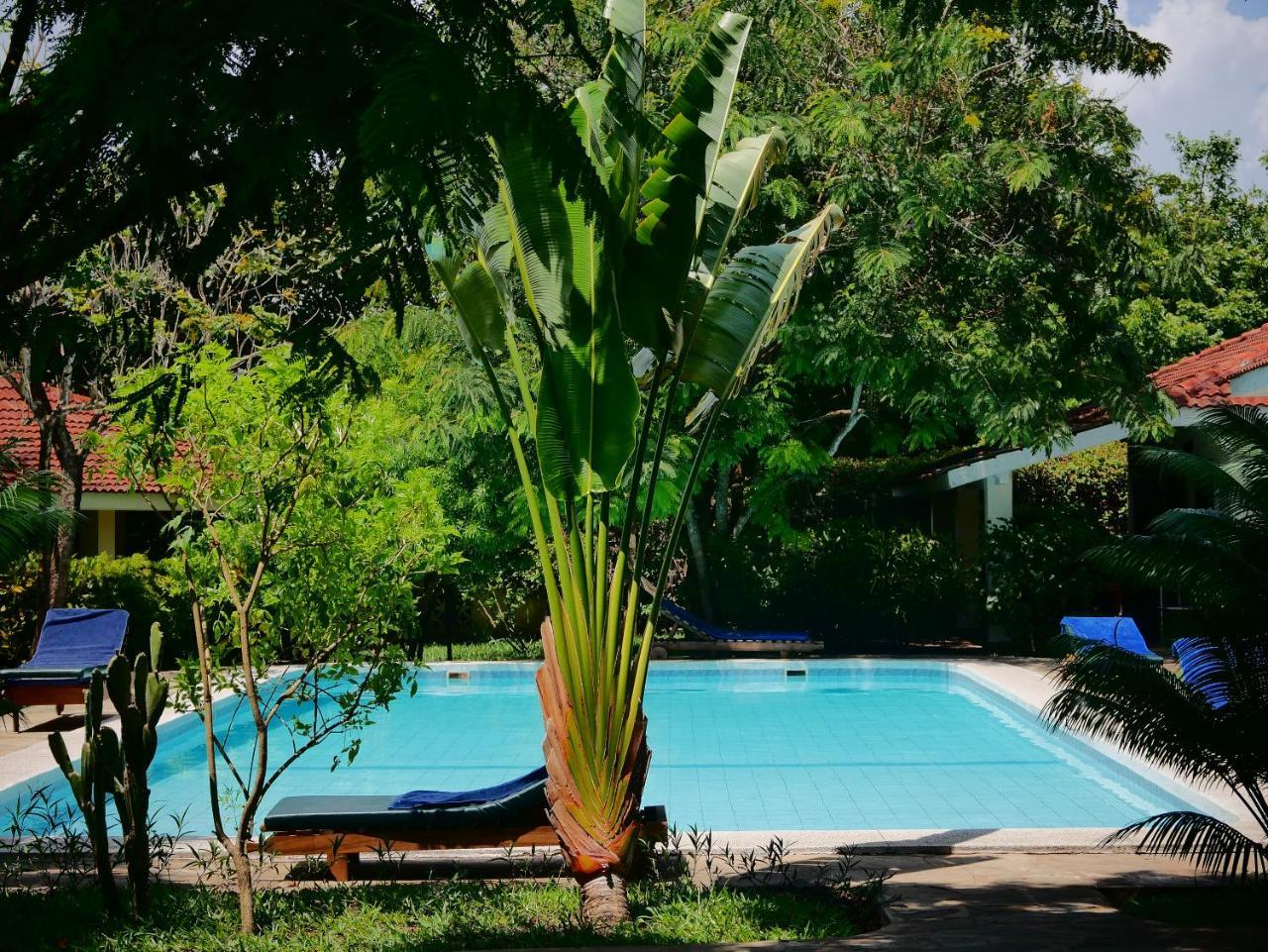 Diani Cottages Diani Beach Ngoại thất bức ảnh
